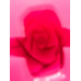 Силиконовый молд 3D Роза