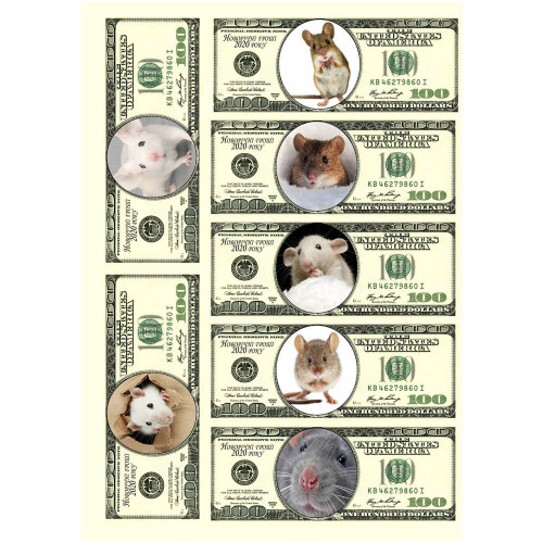 Вафельная картинка Доллары с мышами 2020
