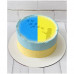 Вафельна картинка на торт Вільна Україна