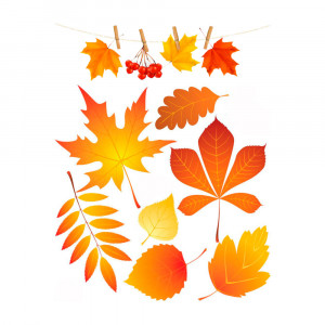Вафельная картинка Осенние листья