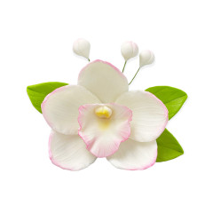 Сахарное украшение Орхидея с листиками Белая с розовым тонированием
