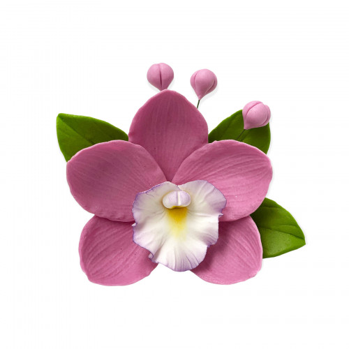 Цукрова прикраса Орхідея з листочками Бузкова