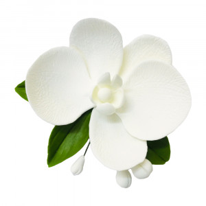 Сахарное украшение Орхидея, белая