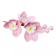 Цукрова прикраса Квіти орхідеї Рожеві Slado