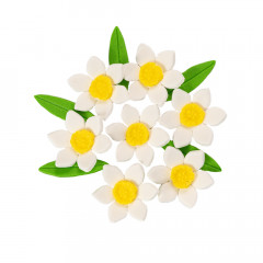 Набор сахарного декора Цветы нарцисс Белый