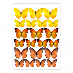 Вафельная картинка Бабочки Желтые